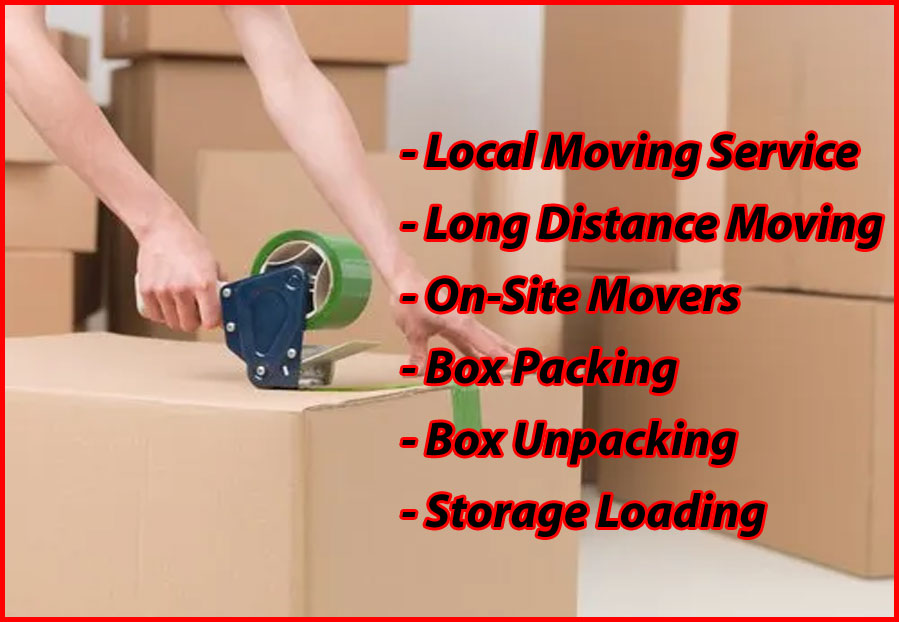Packers And Movers Noida Sector 101